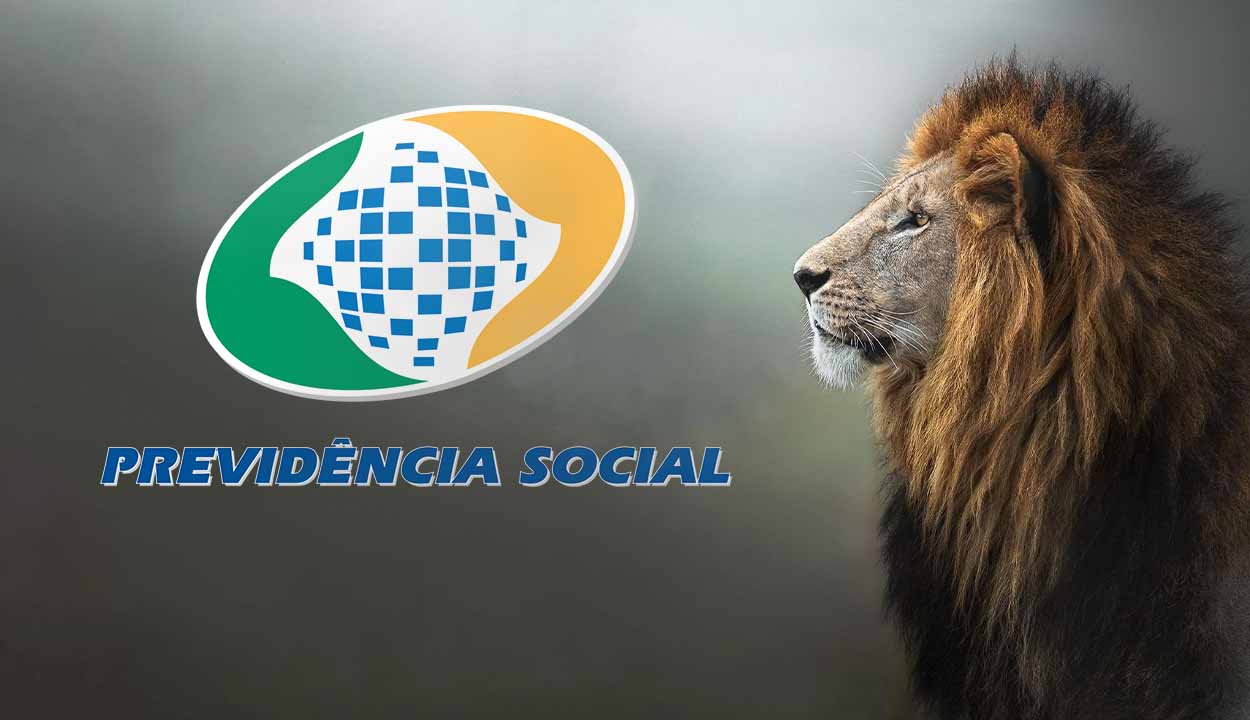 Saiba como declarar a aposentadoria do INSS no Imposto de Renda