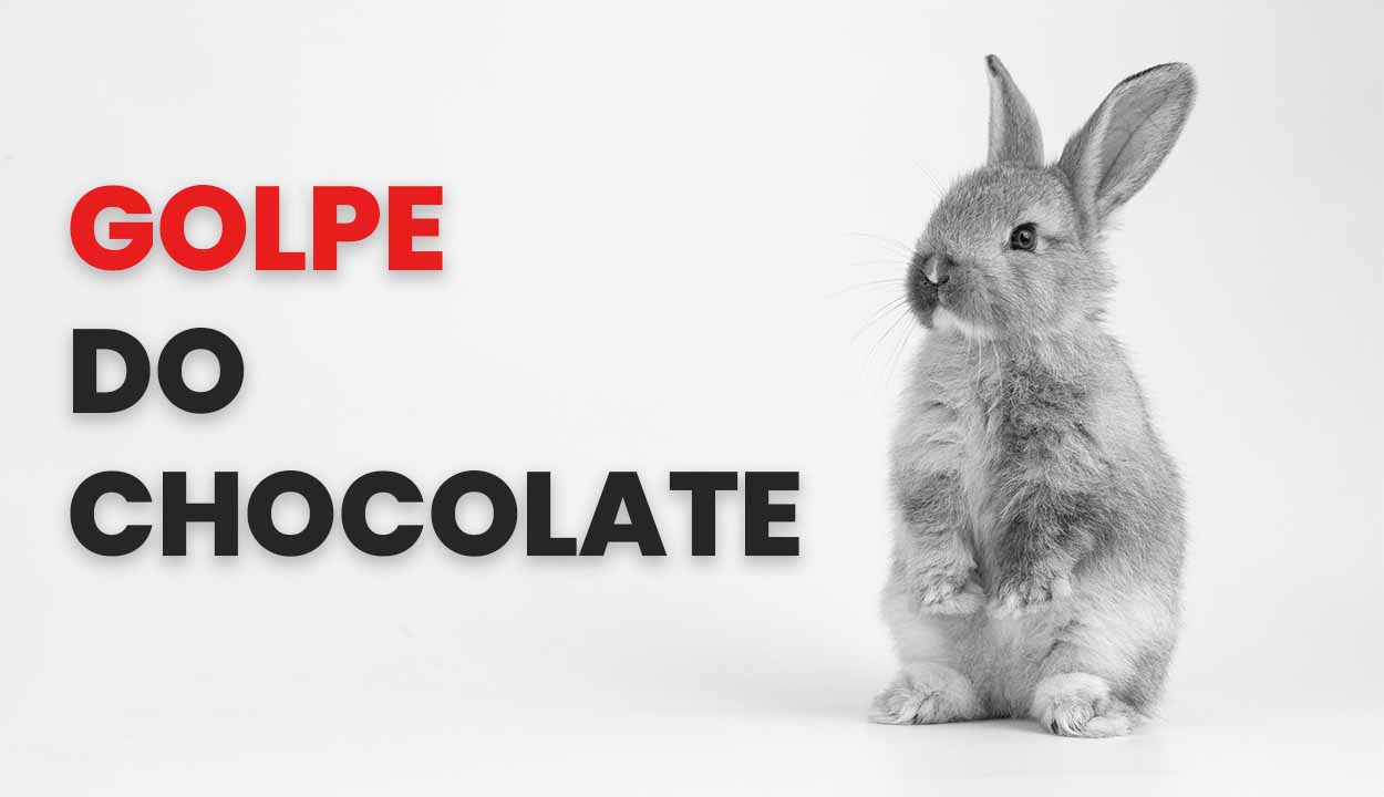 Golpe do chocolate leva dinheiro das vĂtimas: como se proteger de ter uma pĂĄscoa amarga?