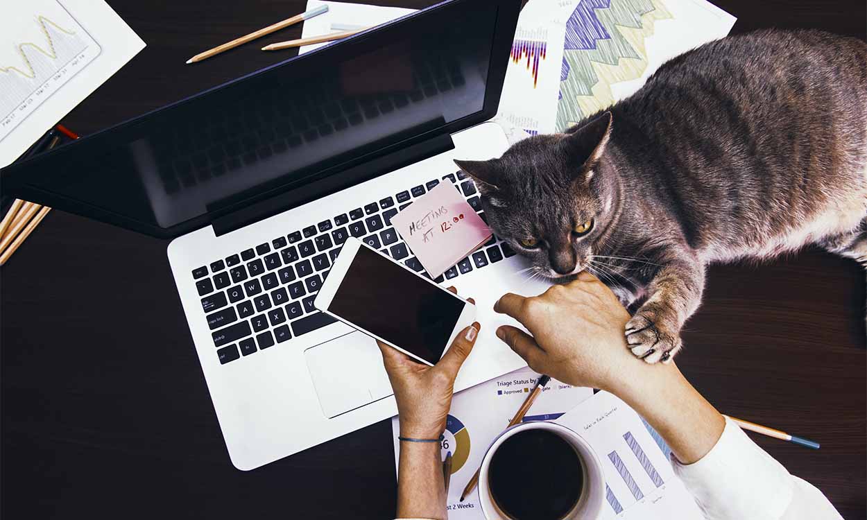 Quer trabalhar de casa? Conheça 64 franquias baratas para isso
