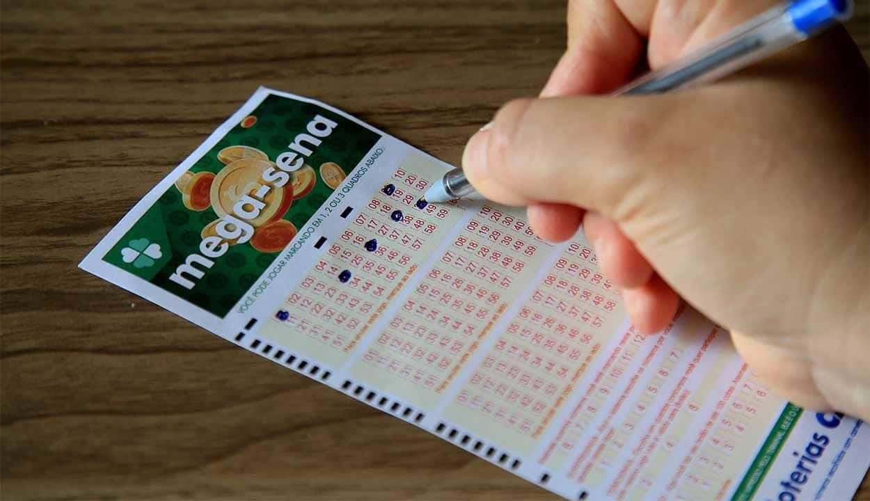 Quina: conheça os números mais sorteados e dicas para apostar