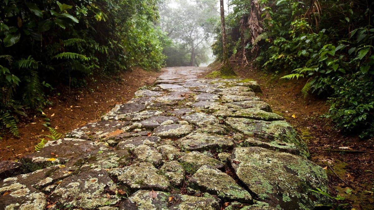 Melhores trilhas para fazer em Paraty: descubra a natureza por caminhos inesquecíveis