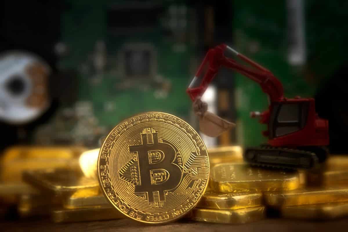 Bitcoin se recupera e atinge US$ 114 mil após queda no fim de semana; confira os preços das criptomoedas hoje