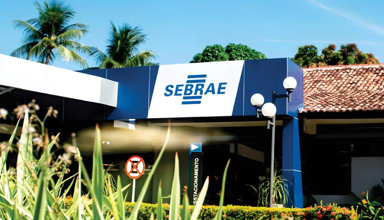 Sebrae libera 11 mil vagas para mulheres que querem crescer no empreendedorismo