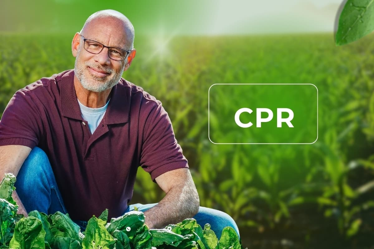 CPR chega ao mercado de pessoa física! Descubra por que essa é sua chance de investir