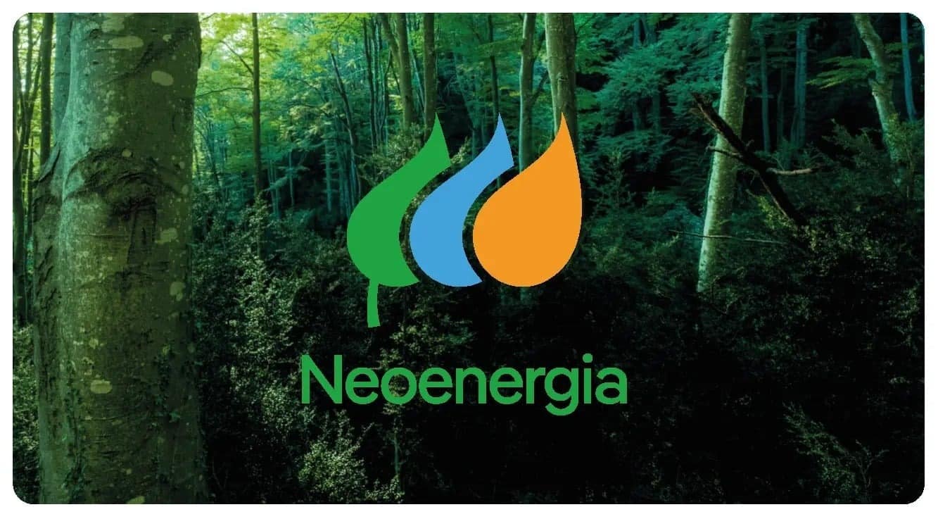 Neoenergia será denunciada ao Cade por cobrança abusiva, diz Anatel