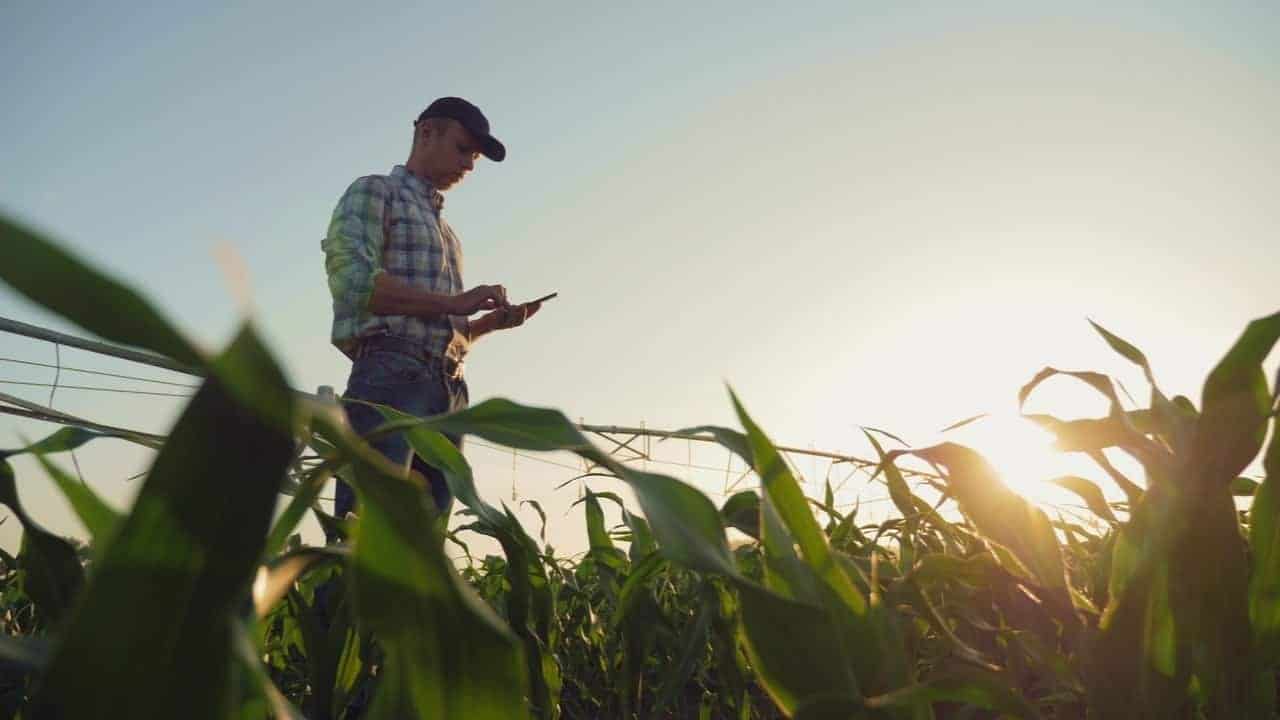 Nova linha de crédito fortalece agronegócio nos últimos meses; saiba os detalhes