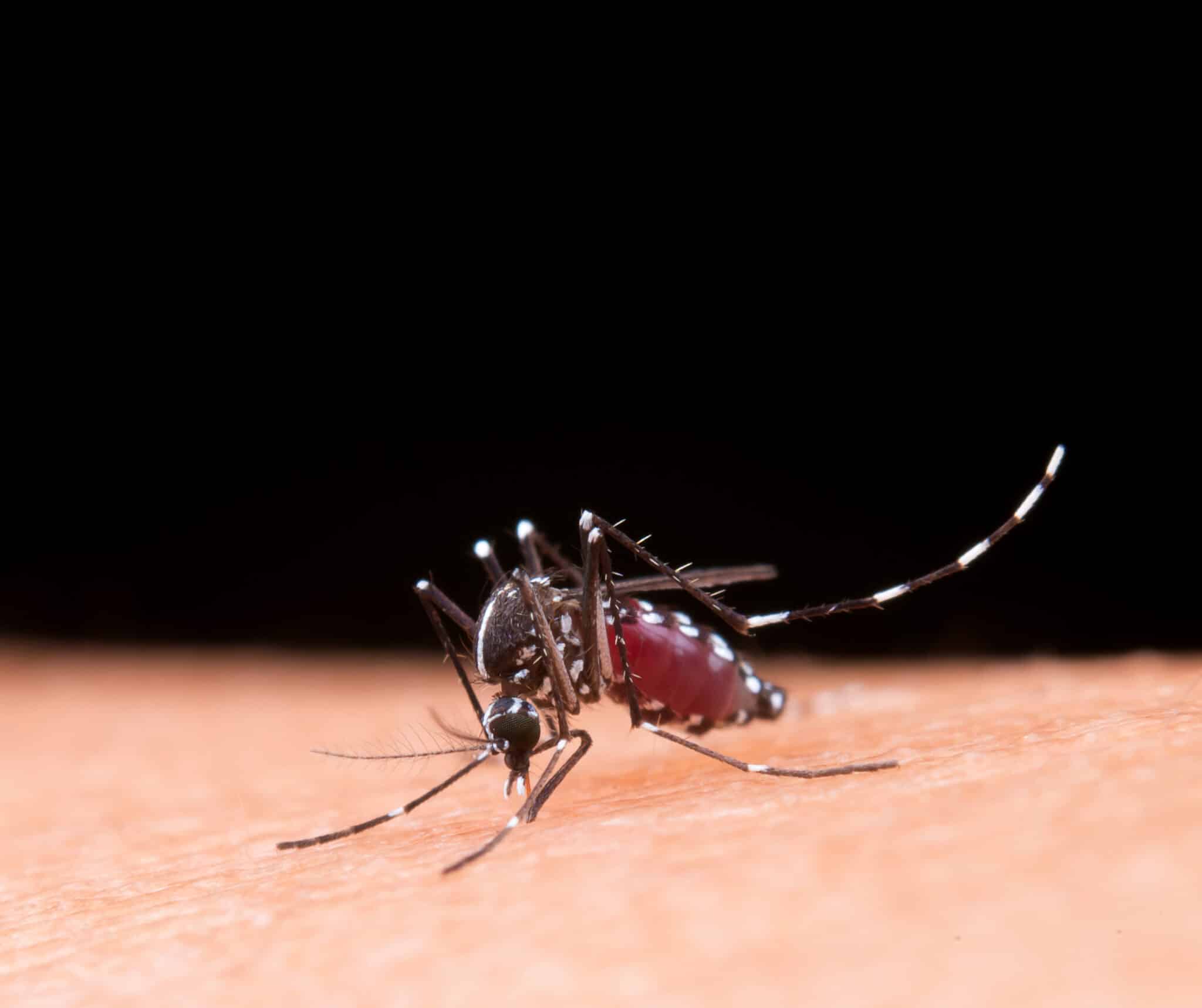 Vítimas do Zika têm direito à pensão vitalícia de R$ 8.157,41 e indenização de R$ 50 mil; confira