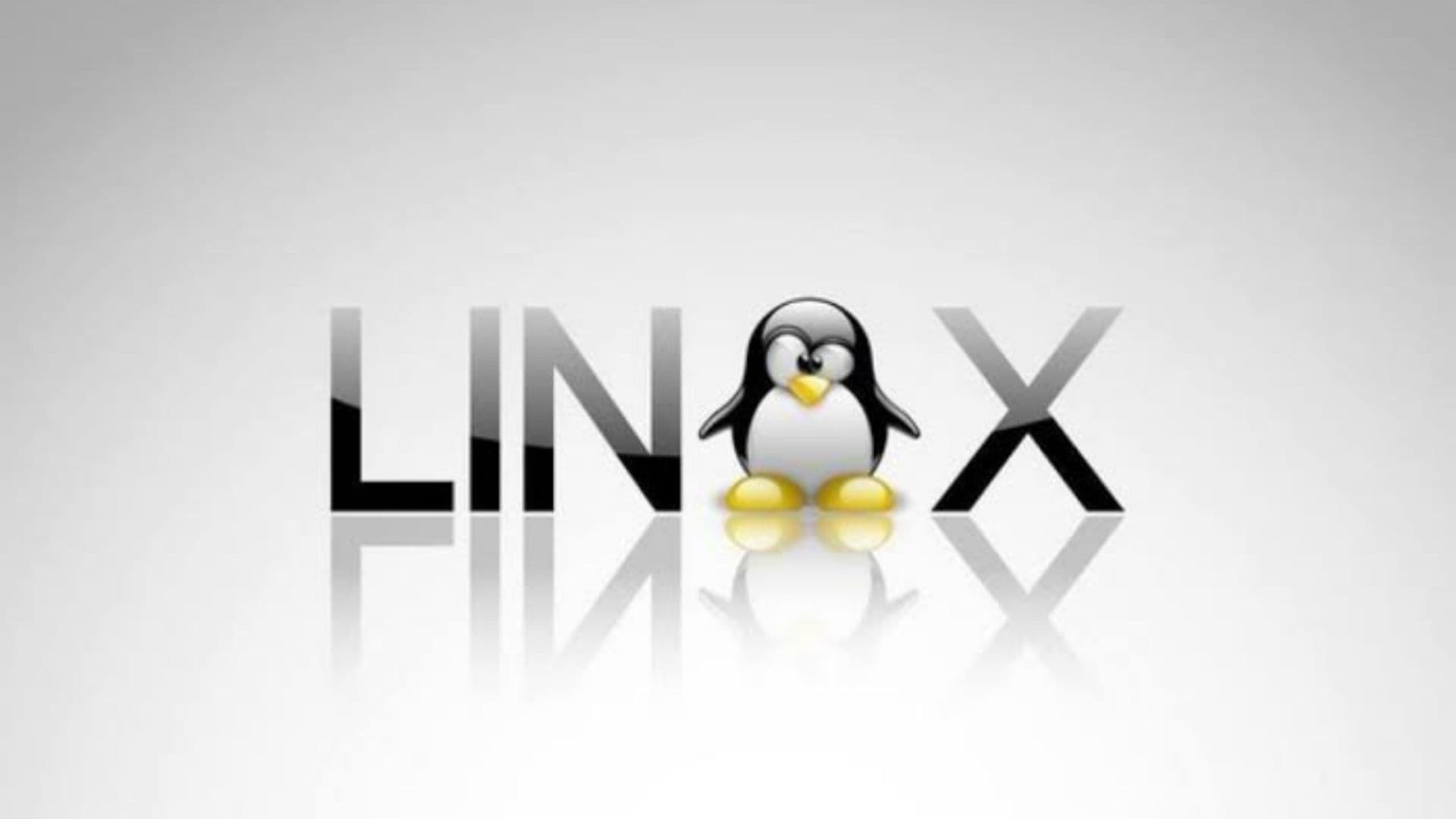 IA no Linux: Linus Torvalds rebate críticas e apoia uso da tecnologia