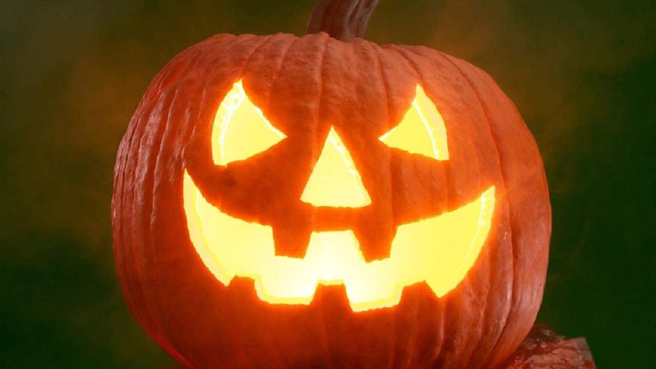 Abóbora de halloween / dia das bruxas