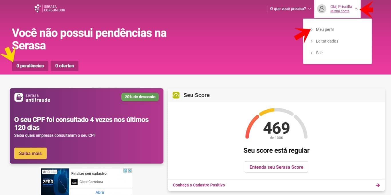 score serasa dividas spc