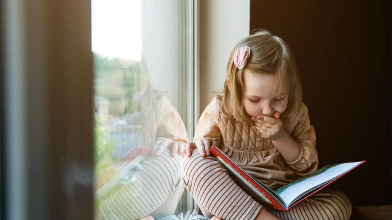 MEC distribui livros GRÁTIS