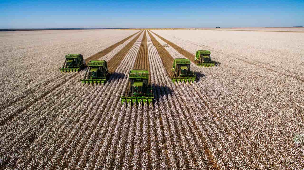 Saiba como as fintechs devem revolucionar a agricultura