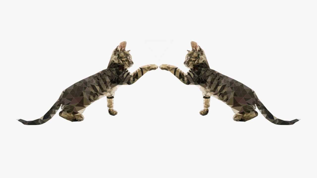 Clonagem de pets: entenda o polêmico serviço que pode custar R$ 400 mil