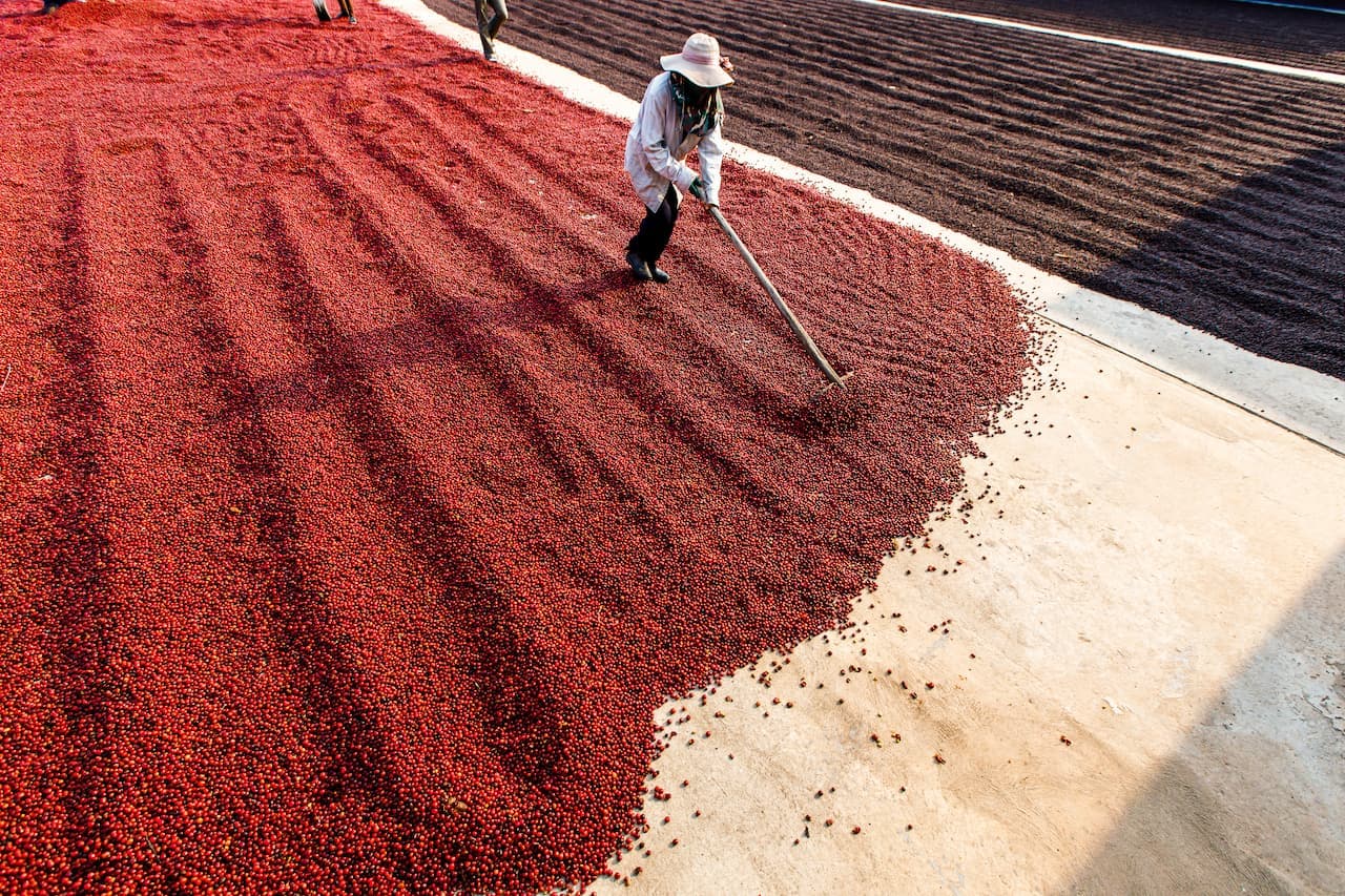 Quais são as marcas de café MAIS populares do Brasil?