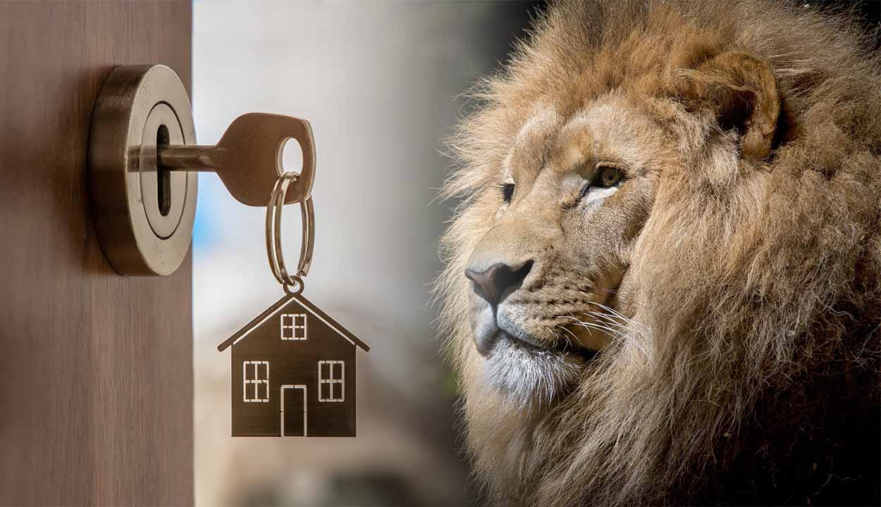 Vendeu seu imóvel? Saiba as regras para não pagar imposto de renda