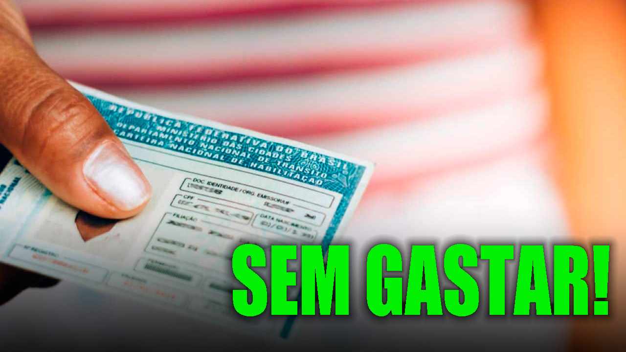 carteira de trabalho sem custo