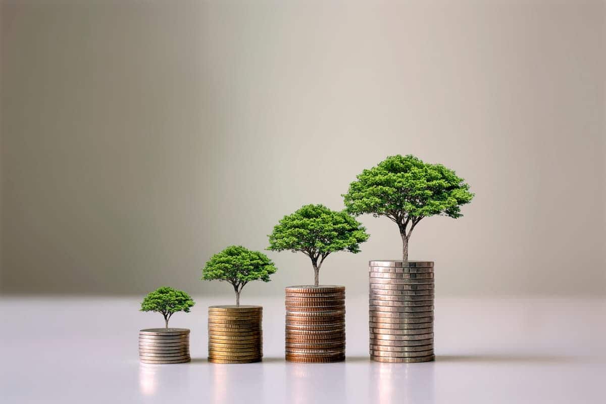 Quatro pequenas árvores plantadas em pequenos potes
