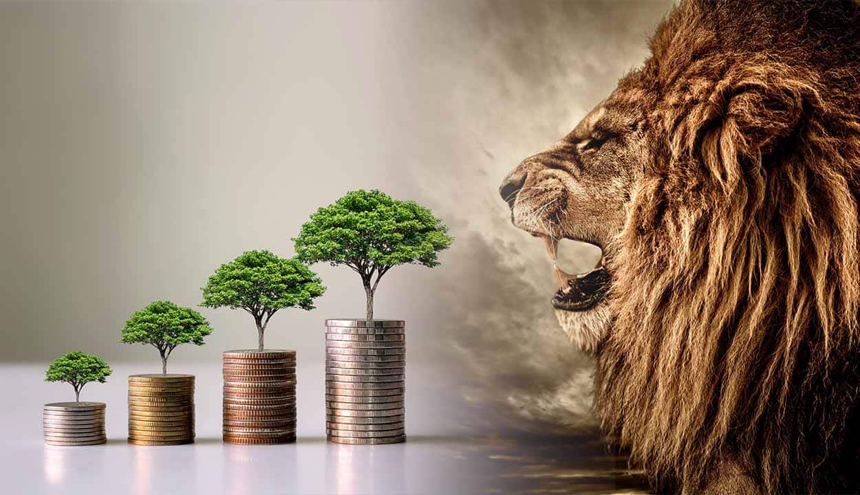 Monstagem com a imagem de um leão virado para uma pilha de moedas representando os investimentos
