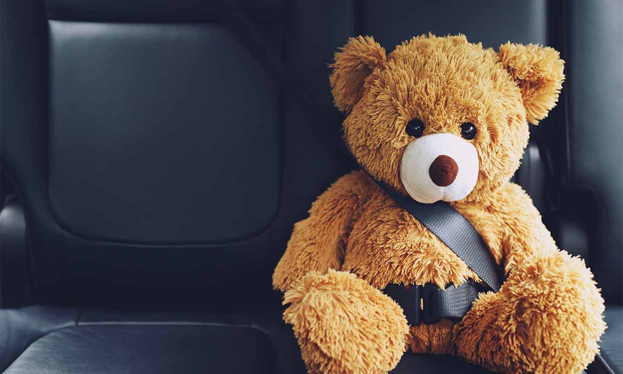 Confira os itens bizarros esquecidos dentro de carros da Uber