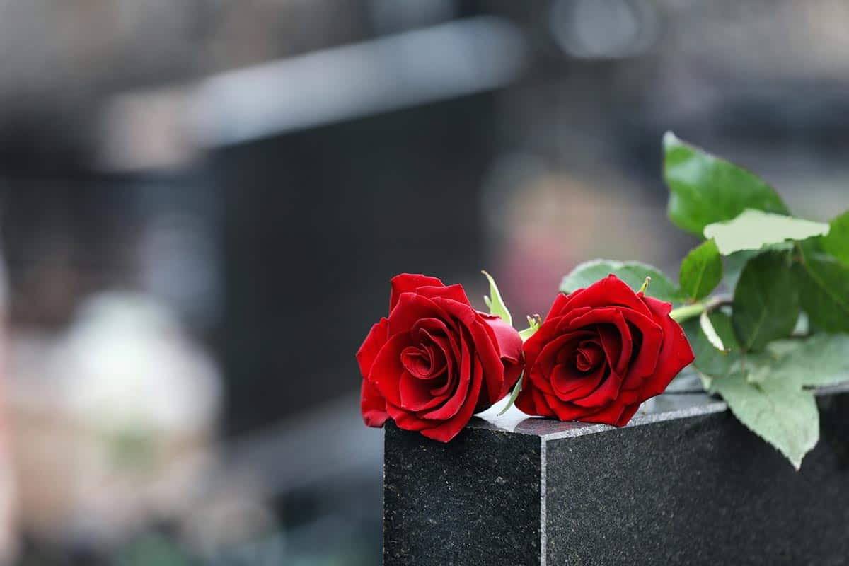 Rosas vermelhas na lápide de granito preto.