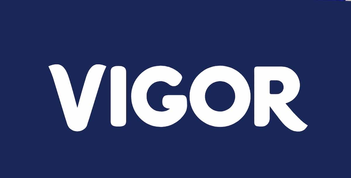 Logo da Vigor