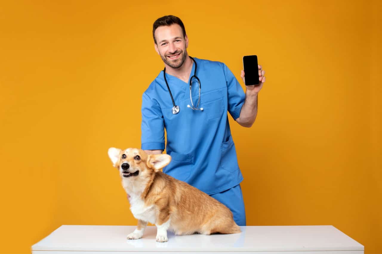 Como o plano de saúde pet do banco Inter funciona? Quais são as coberturas?