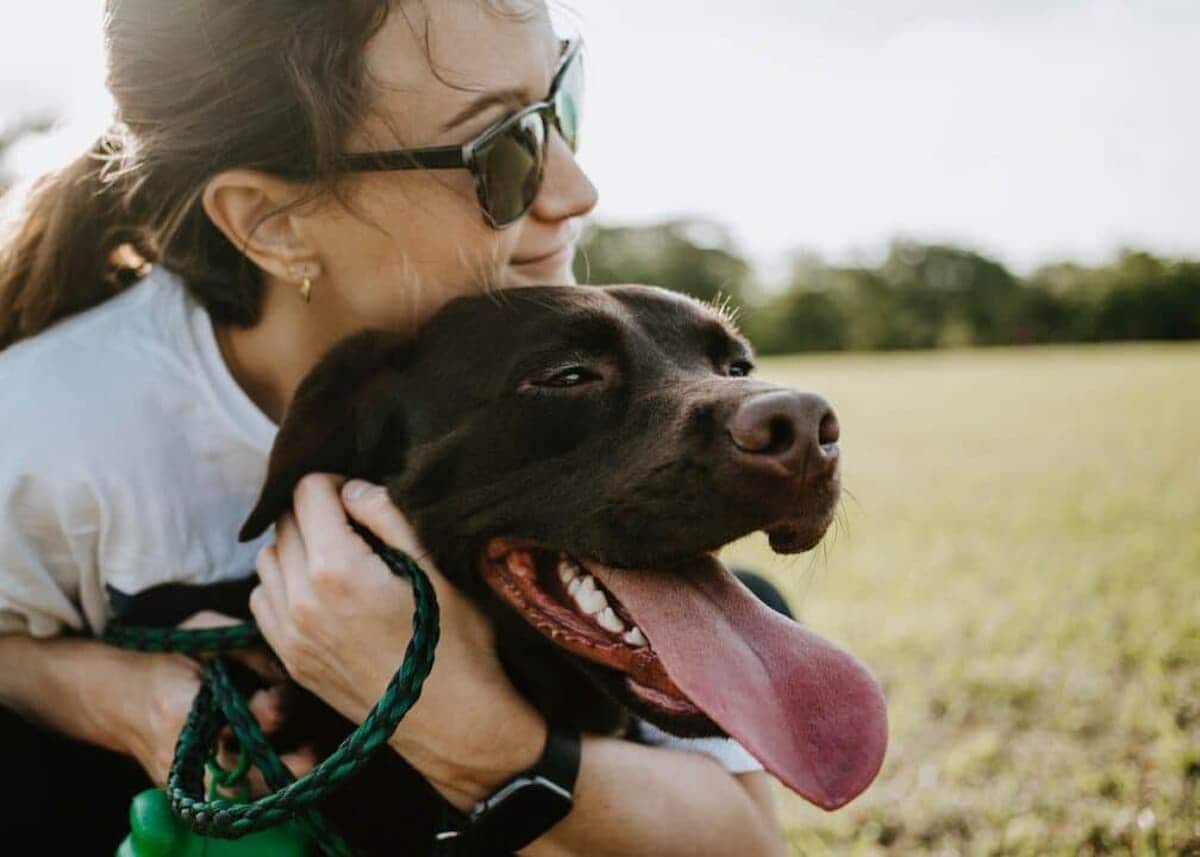 Novo código civil pode considerar pets membros da família.