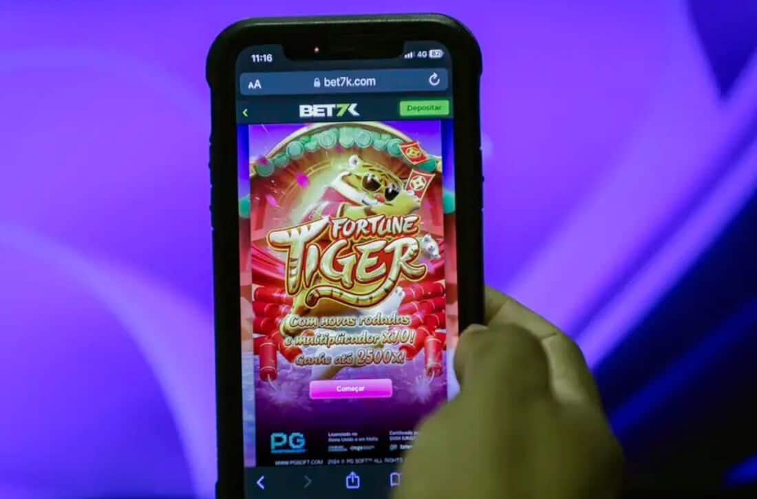 Bets Provedores
