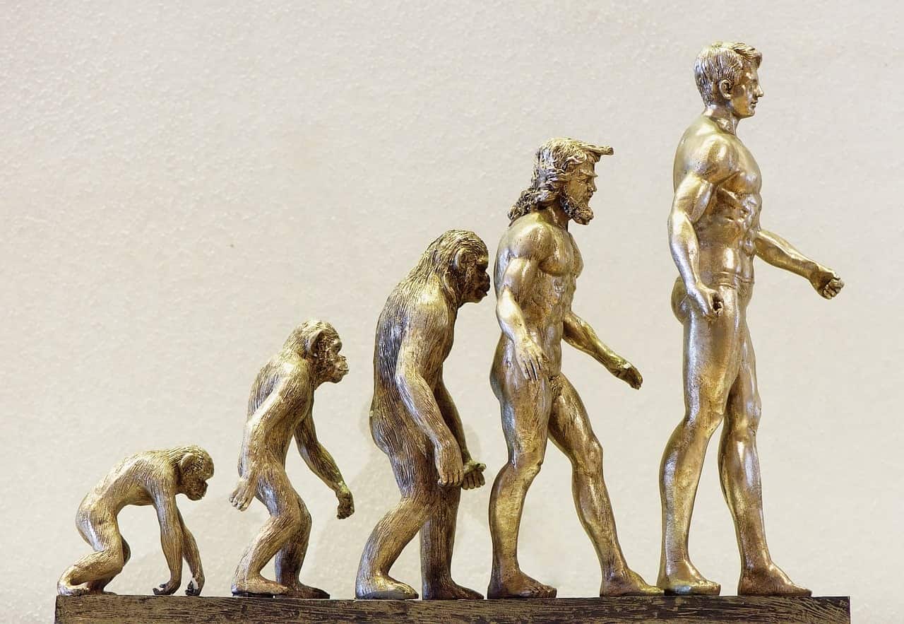 Quais são as melhores profissões para quem é formado em história?