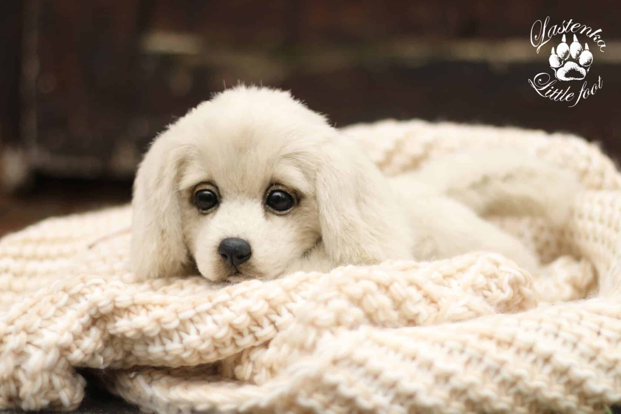 Dog Reborn