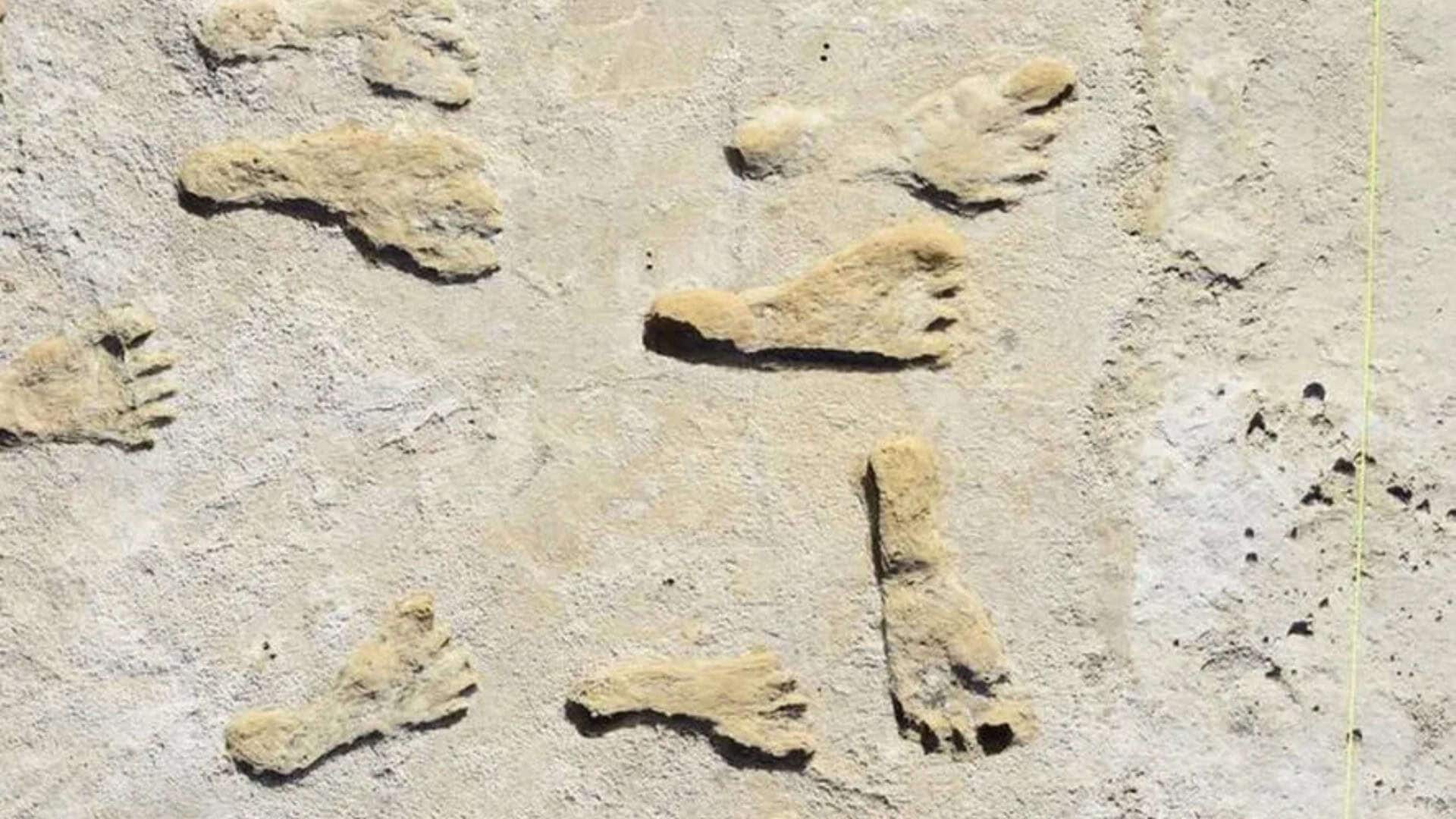 Pegadas