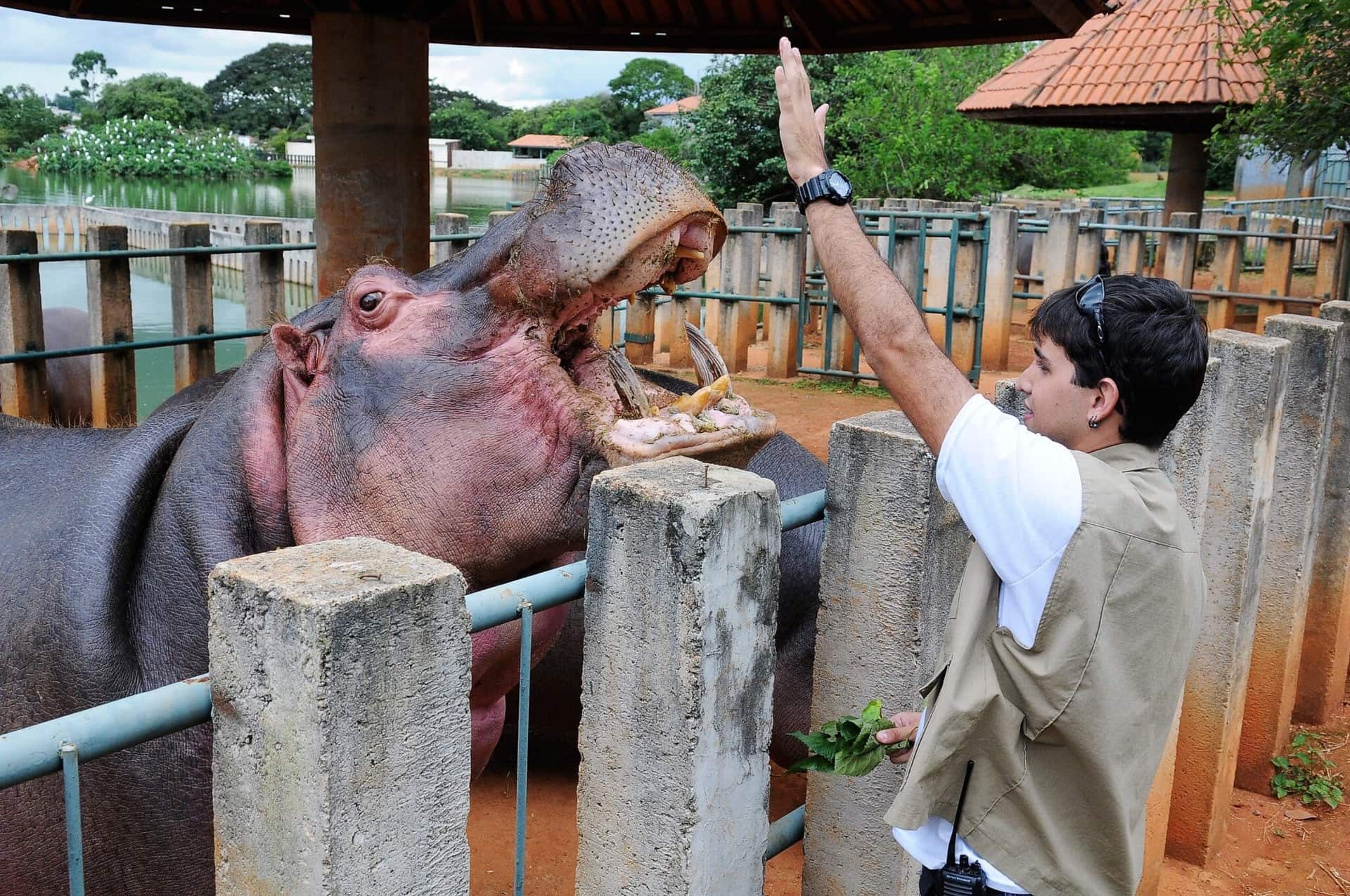 Zoológico