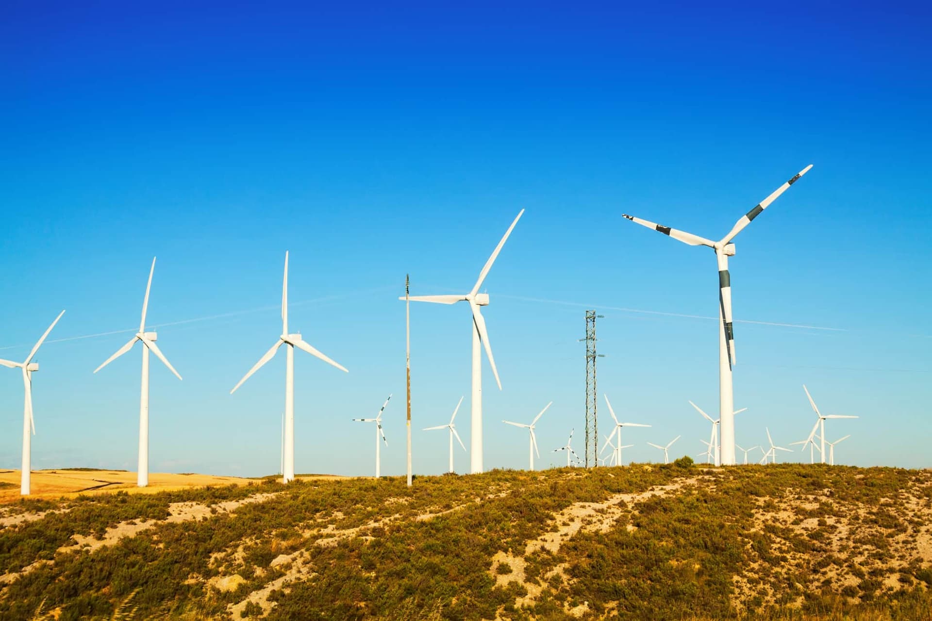 Queda de investimentos ameaça expansão da energia eólica no Brasil