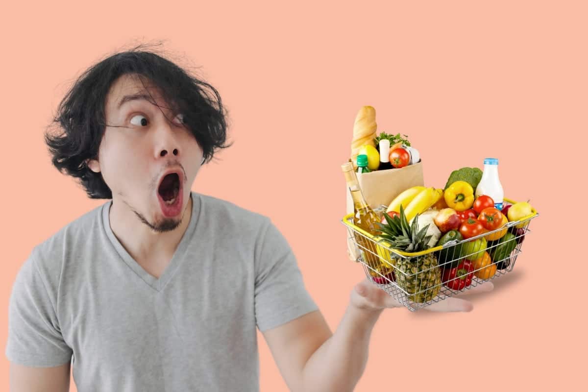 alimentação