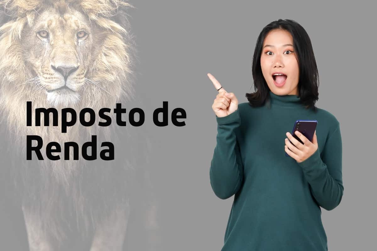 canva imposto de renda programa 12
