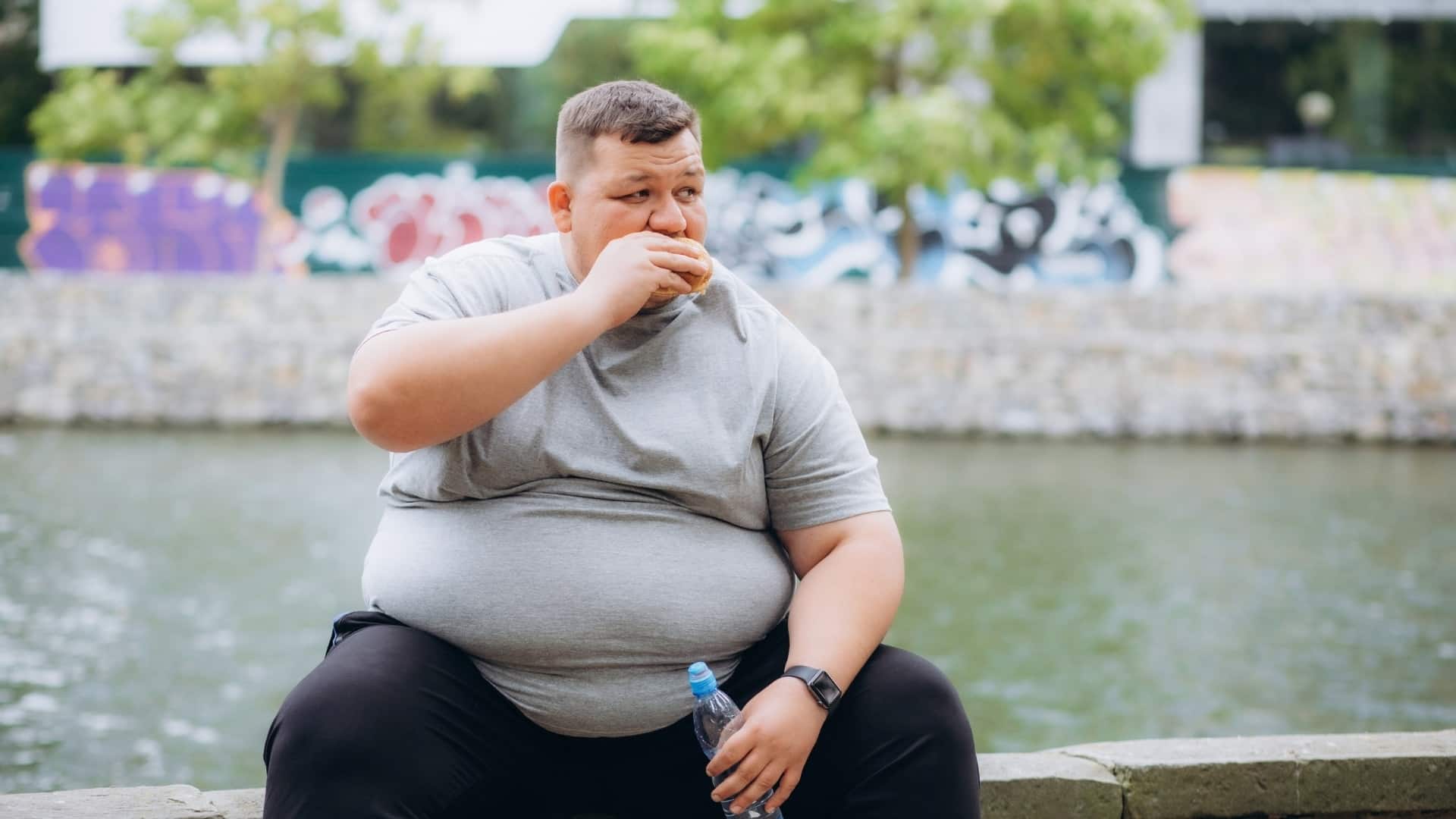 Obesidade