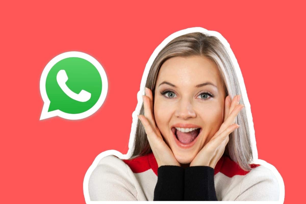 whats app canva (3)
