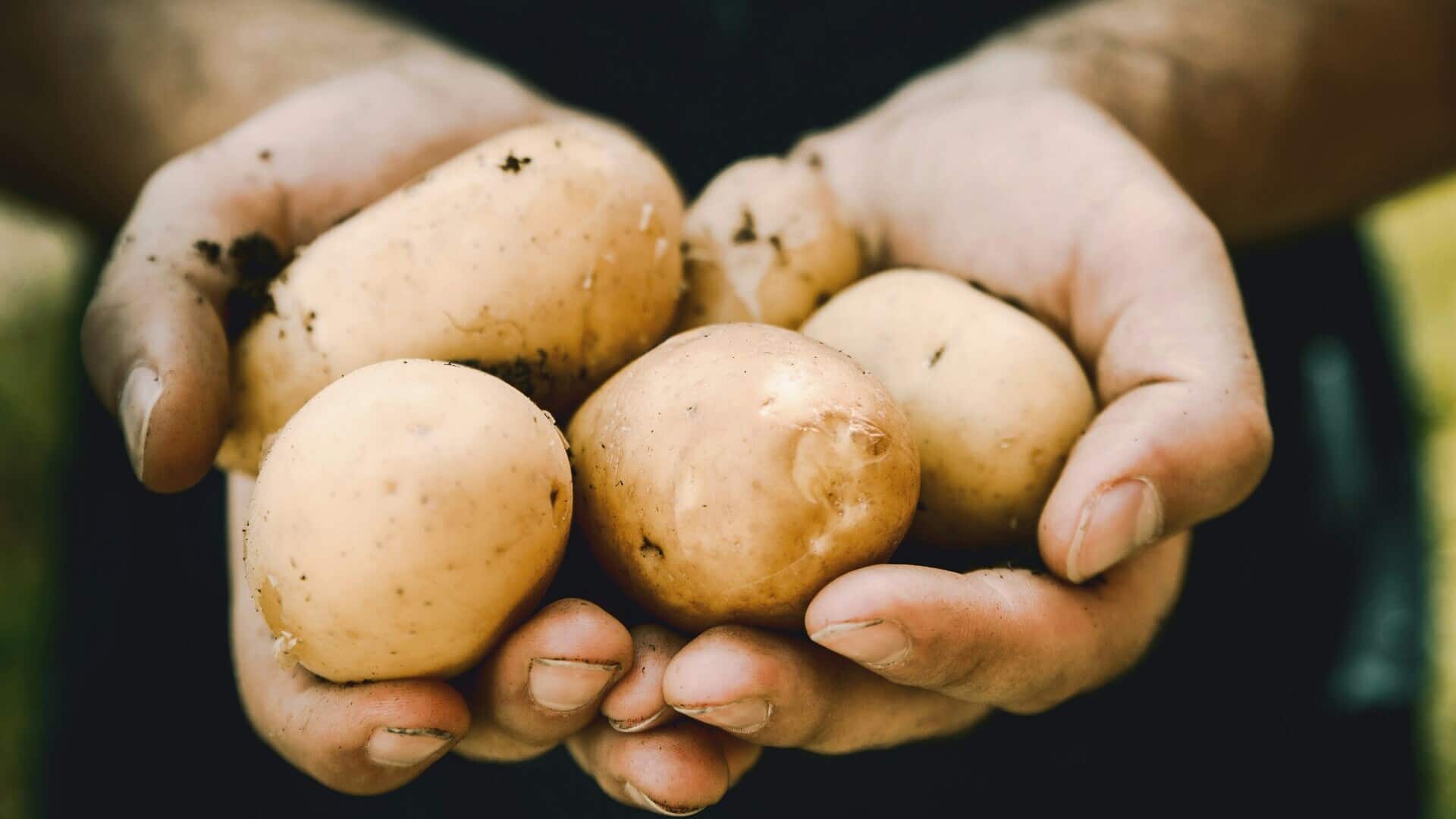 batata