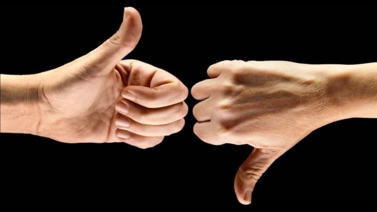 Qual a diferença entre o Cadastro Positivo e o Cadastro Negativo no SPC e Serasa?