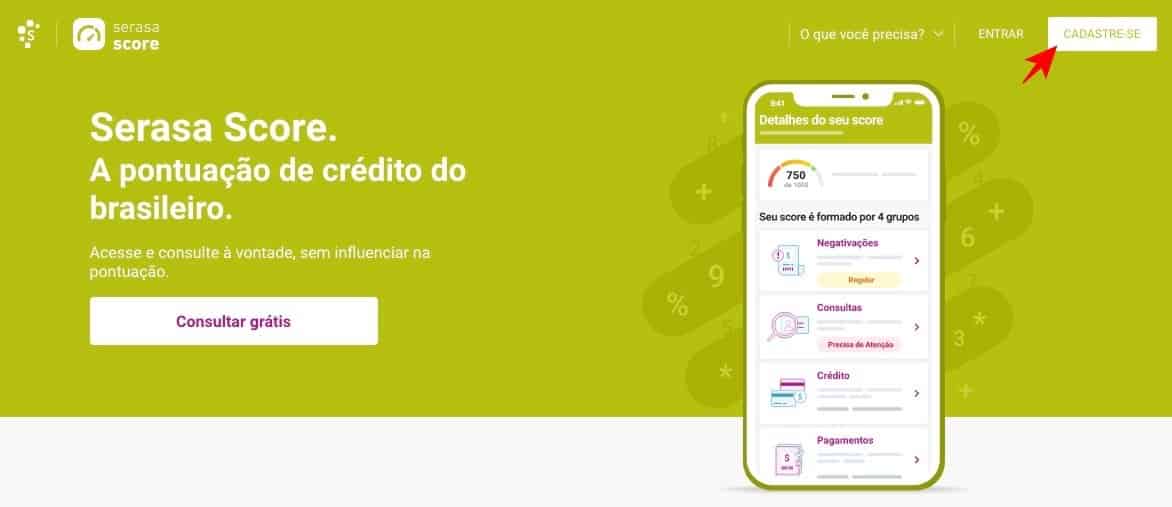 serasa consumidor score