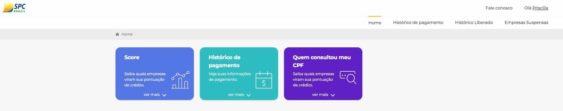 SPC Brasil score