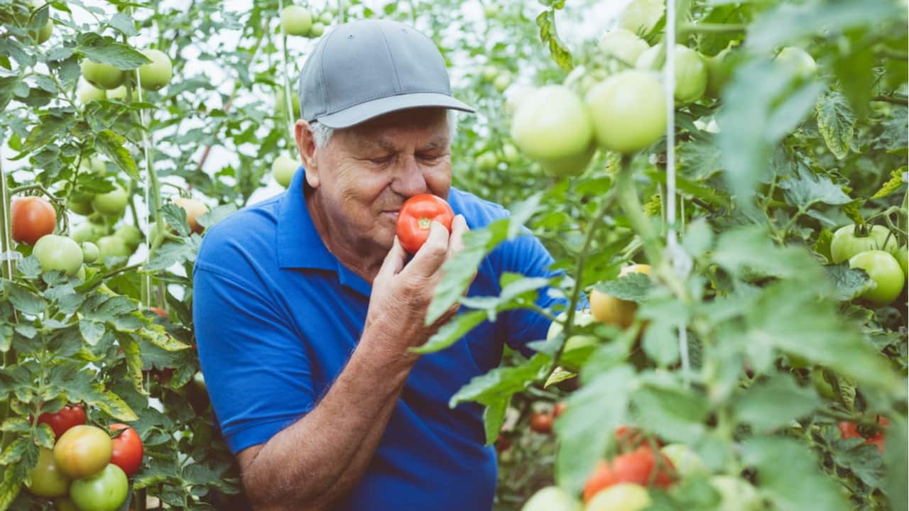 Câmara planeja auxílio emergencial de até R$ 3 mil a agricultores