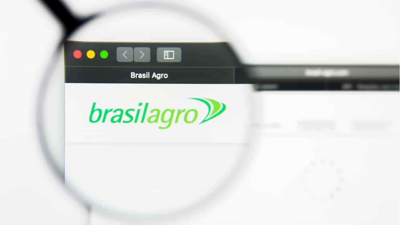 Como estão os indicadores da BrasilAgro? Veja os últimos resultados