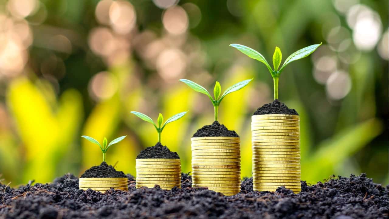Resgate do Tesouro Direto: veja como fazer no banco Inter