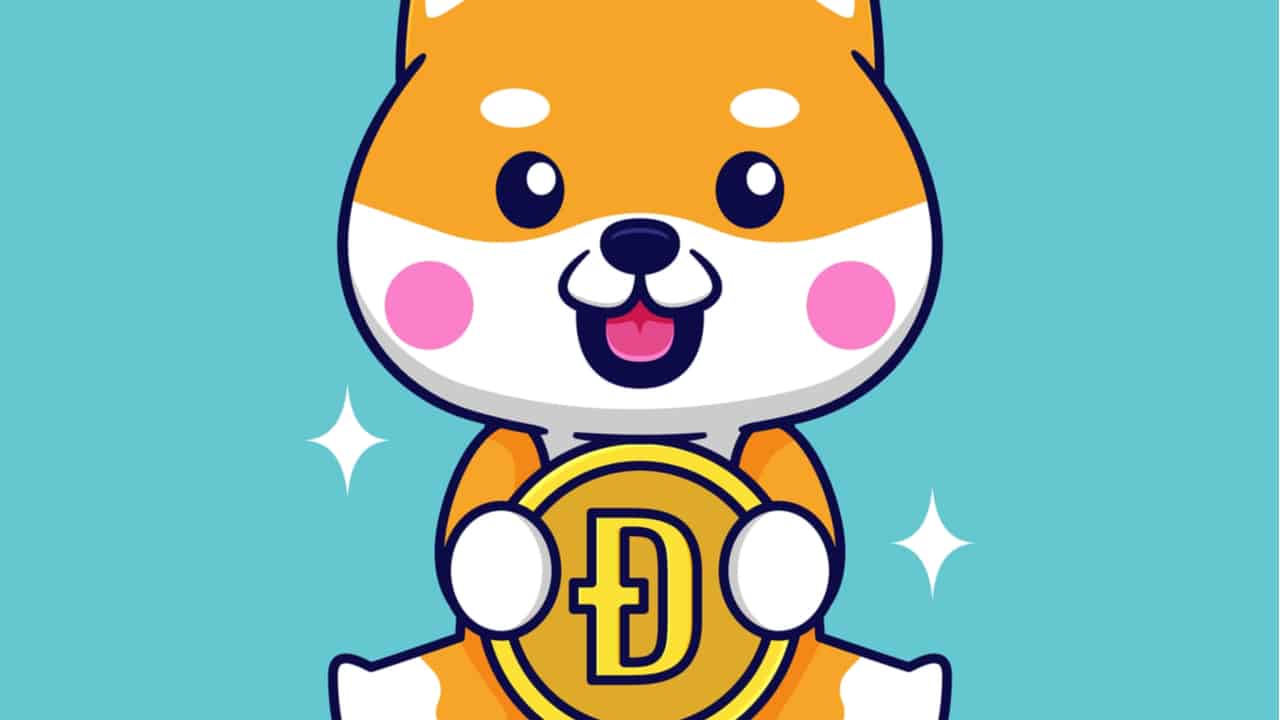 Baby doge: conheça a nova criptomoeda que subiu 200%