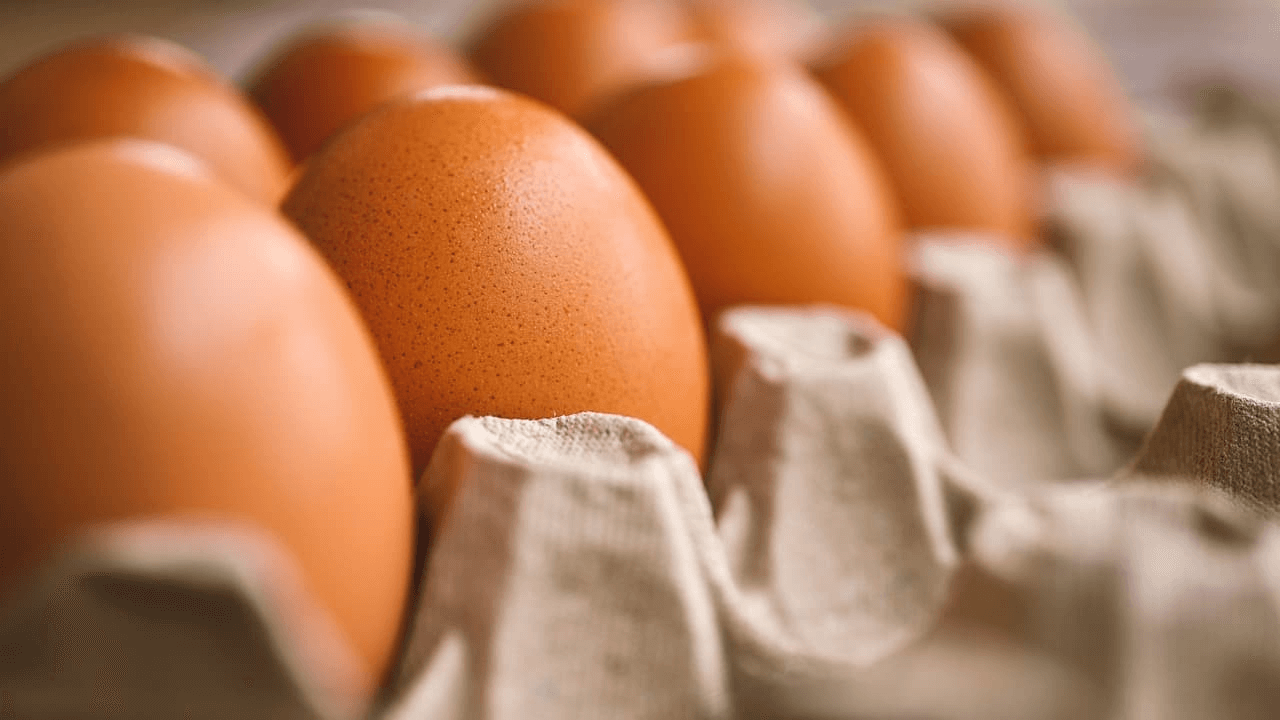 Imagem de cartela de ovos