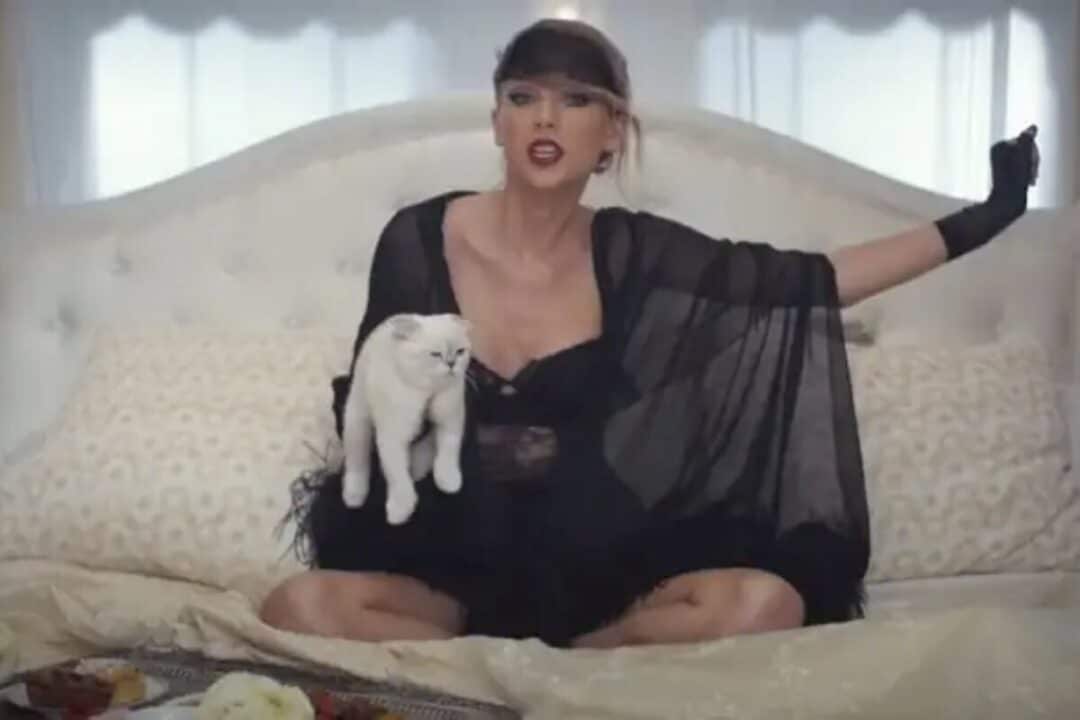 Taylor Swift com sua gata em clip