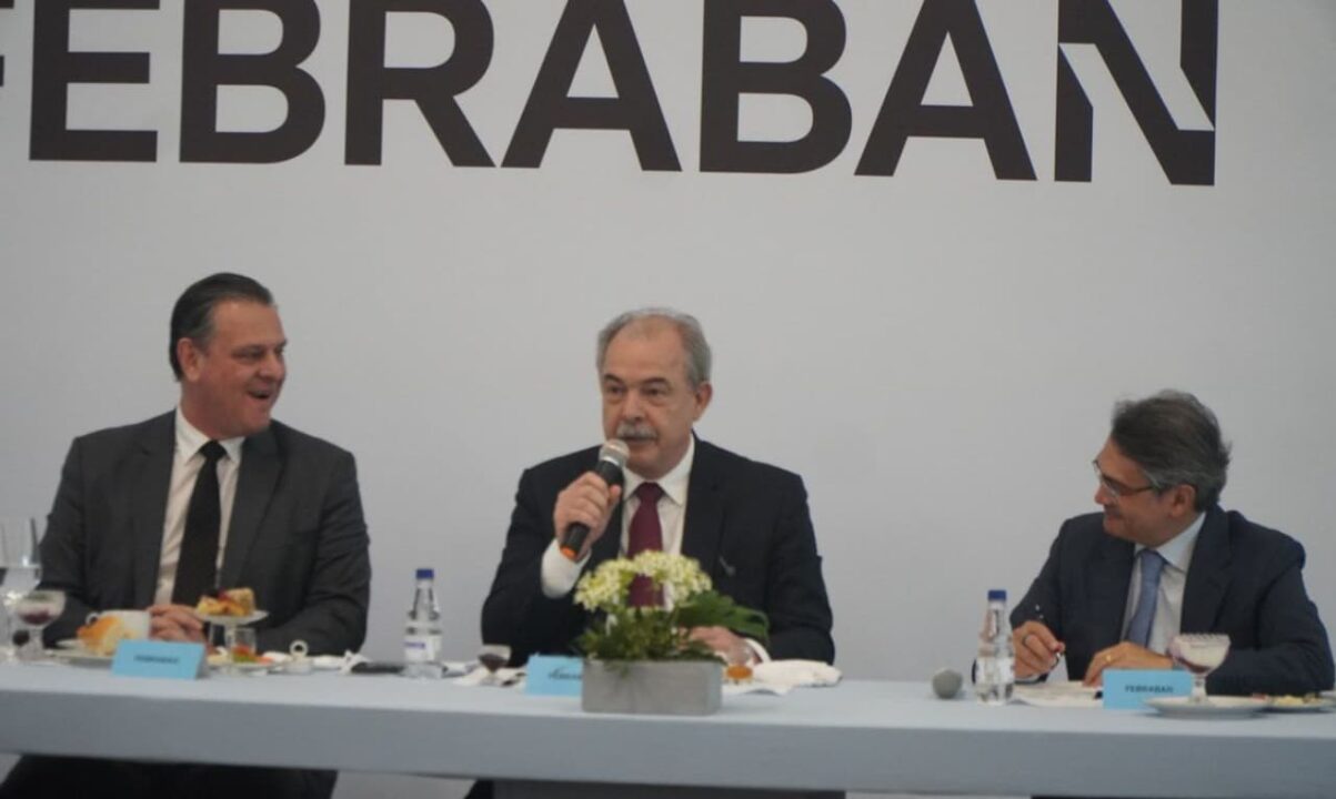 Presidente do BNDES, Aloizio Mercadante, fala na Febraban