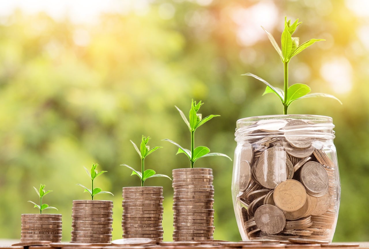 Saiba como conseguir a sua independência financeira