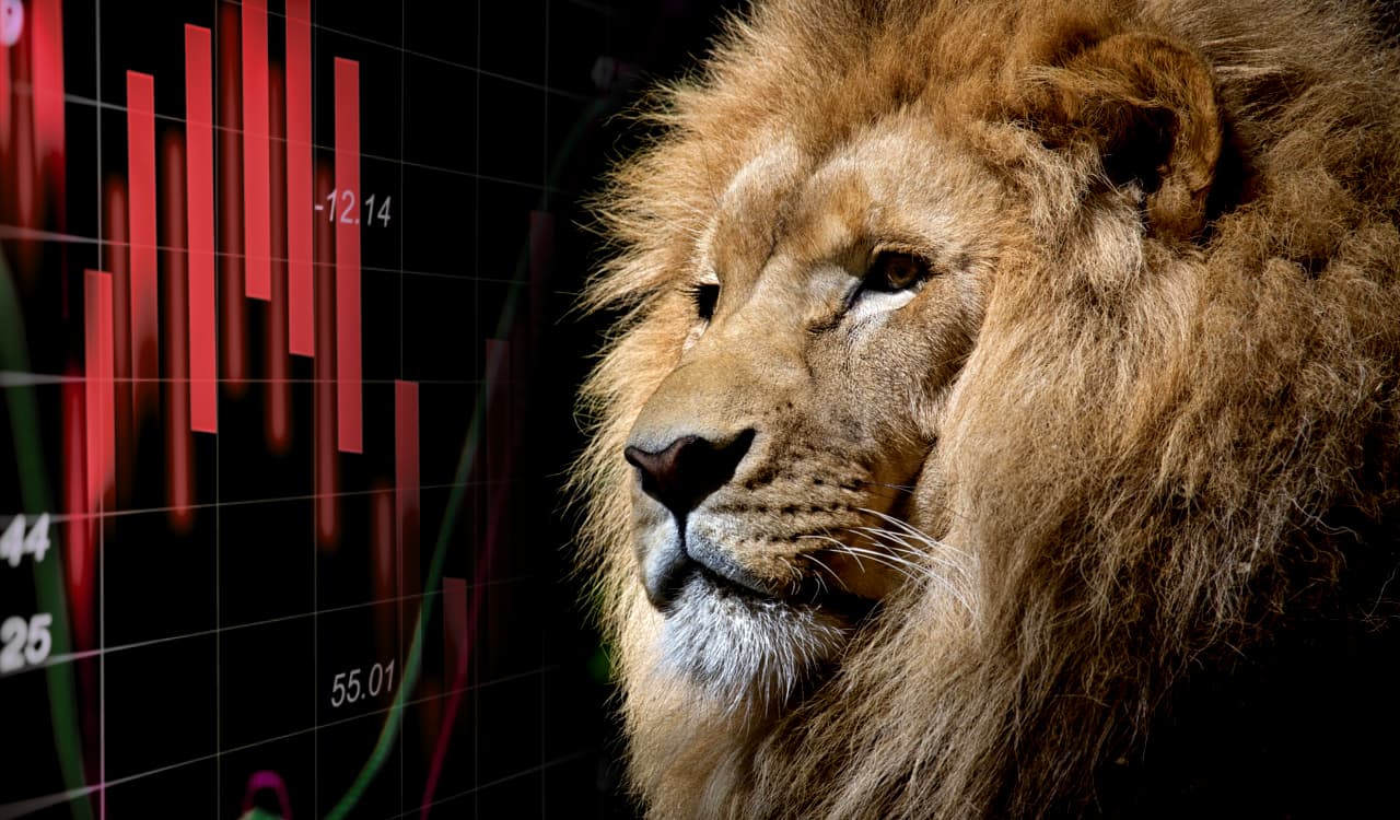 Quais investimentos são isentos de Imposto de Renda? Confira a lista